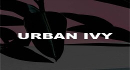 Urban Ivy